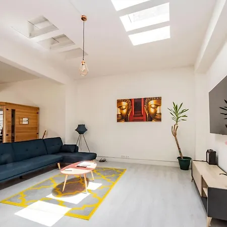 Loft Cosy - Hypercentre - Sauna - 200m2 - Wifi アパート Graulhet