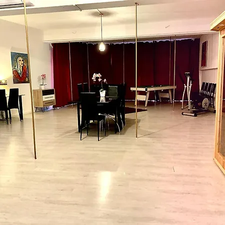 Loft Cosy - Hypercentre - Sauna - 200m2 - Wifi Apartament *